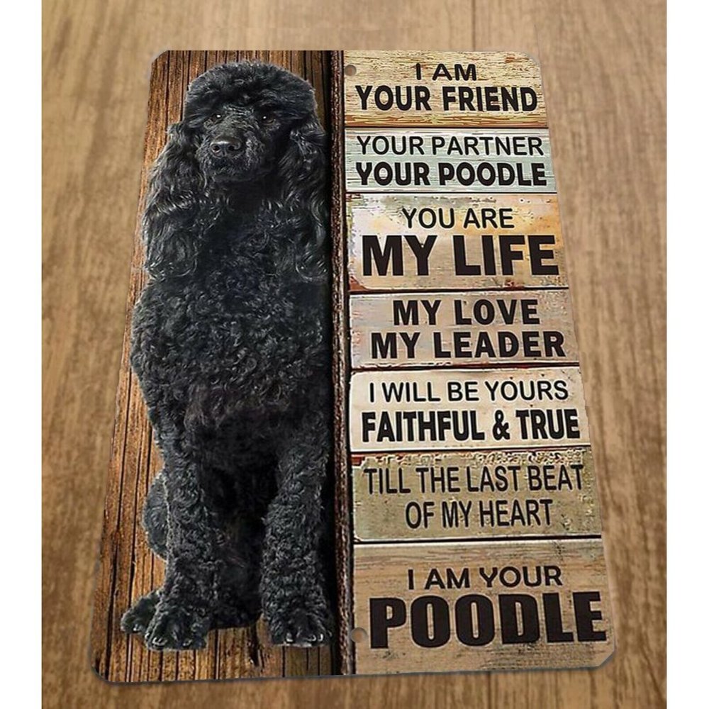 I am Your Black Poodle Dog‎ Friend 8x12 Metal Wall Animal Sign